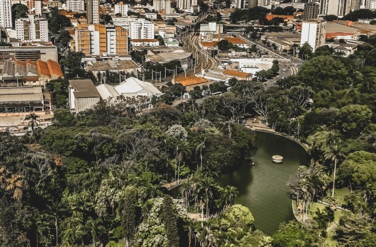 Parque Municipal De BH: Um Oásis No Centro Da Capital Mineira